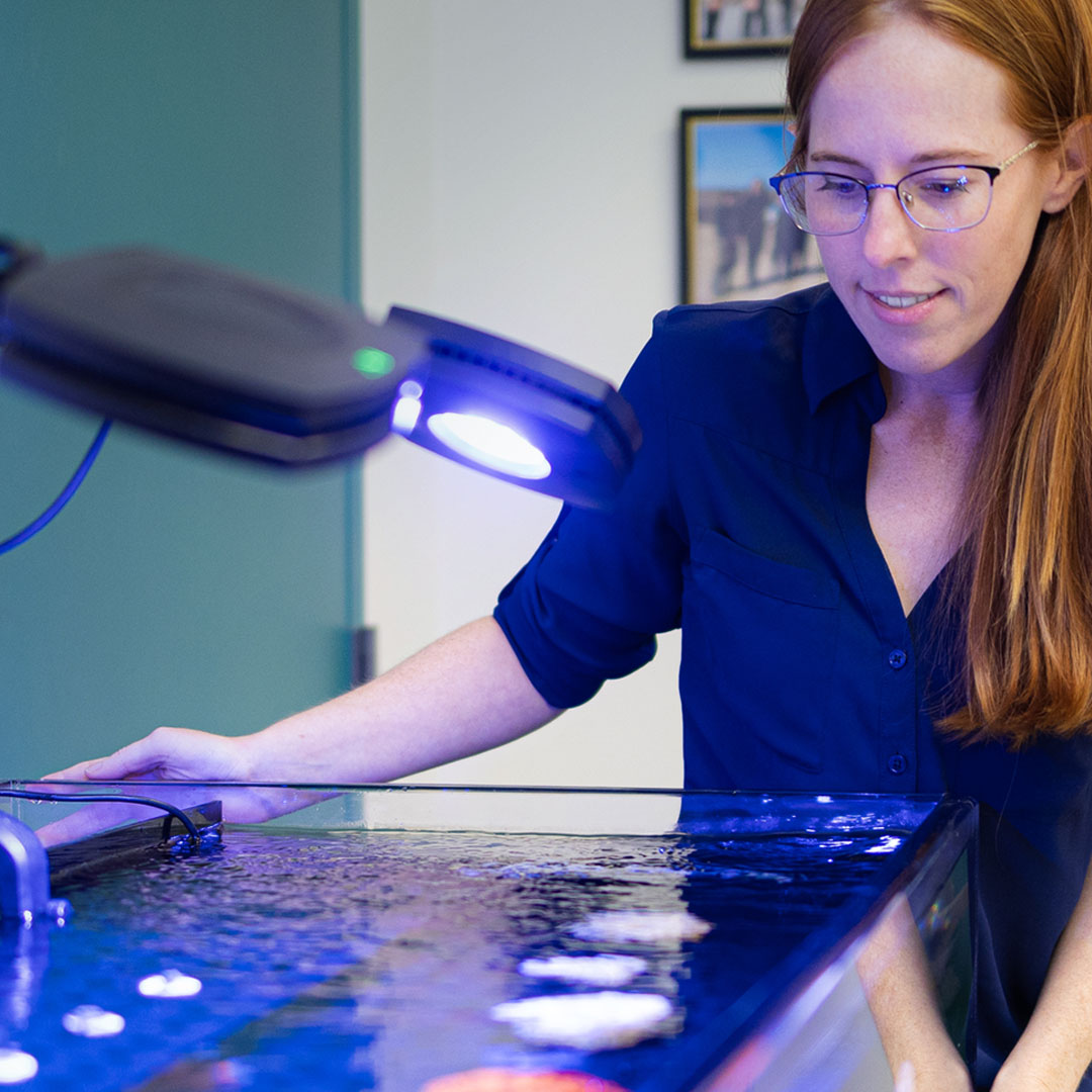 Photo of FSC faculty member standing over aquarium tank